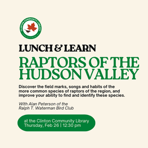 Lunch & Learn: Rapto